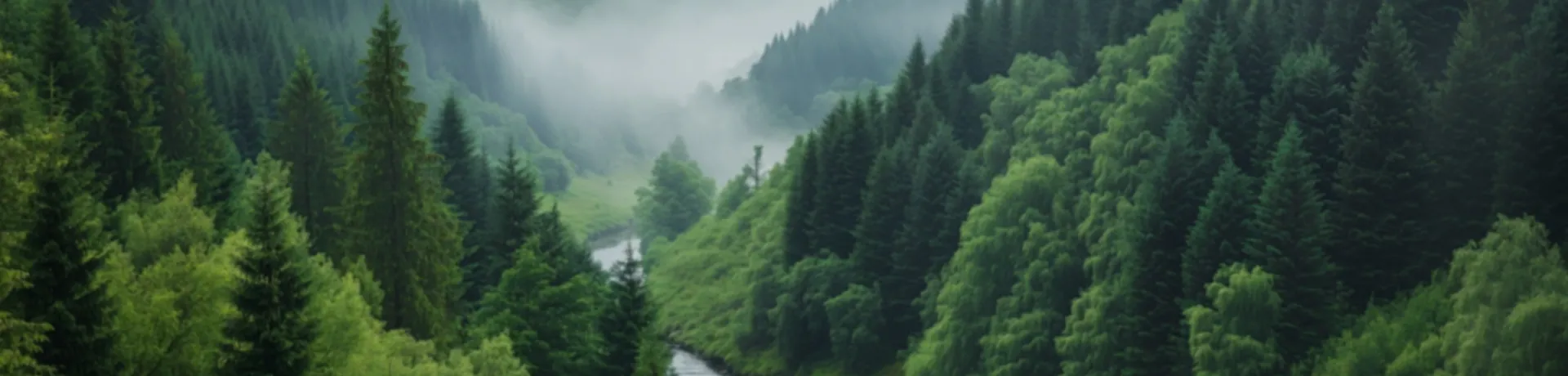 TEV 環境に優しいマスターバッチ